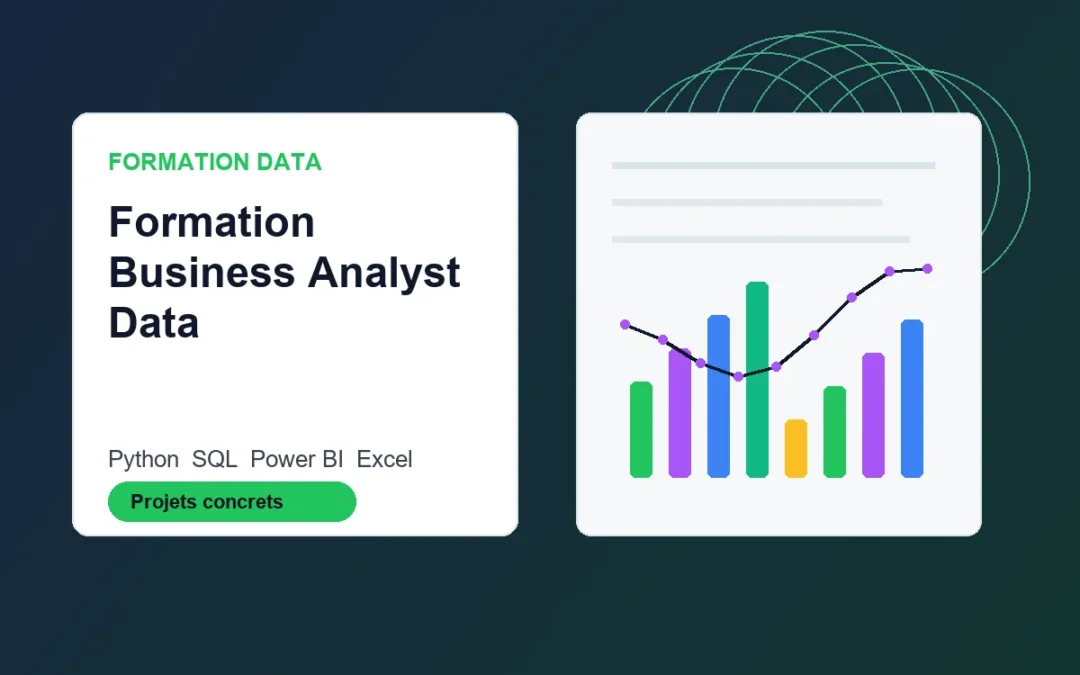Formation Business Analyst Data